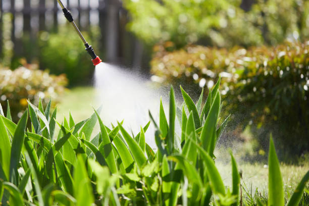 Tamper-Resistant Bait Stations for Rodents in Trowbridge Park