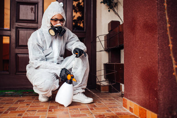 Attic and Crawl Space Rodent Treatment in Trowbridge Park