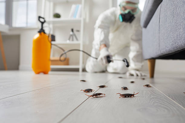 Commercial Rodent Management in Trowbridge Park